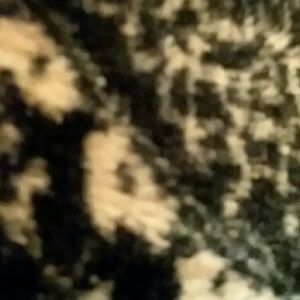 Meet your Posher, Nate